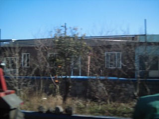 CIMG0273.JPG