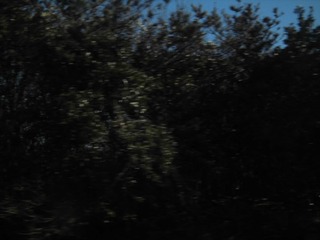 CIMG0284.JPG