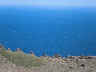 CIMG0330.JPG