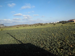 CIMG0363.JPG