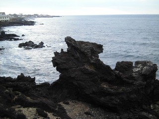 CIMG0365.JPG