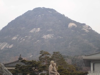 CIMG0421.JPG