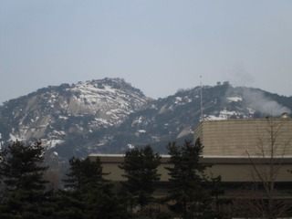 CIMG0425.JPG