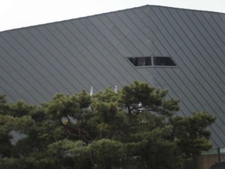 CIMG0426.JPG