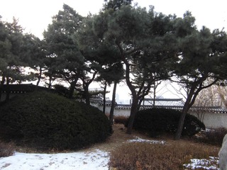 CIMG0428.JPG