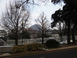 CIMG0429.JPG