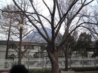 CIMG0430.JPG
