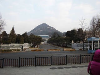 CIMG0431.JPG