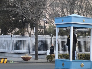 CIMG0435.JPG