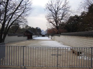CIMG0450.JPG