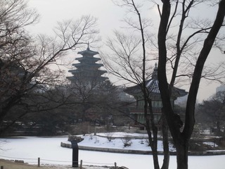 CIMG0454.JPG