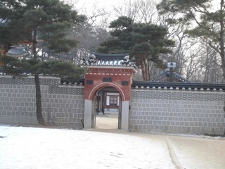 CIMG0455.JPG