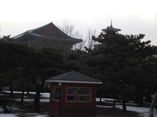 CIMG0463.JPG