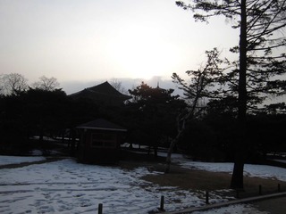 CIMG0466.JPG
