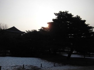 CIMG0469.JPG