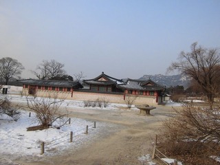 CIMG0471.JPG
