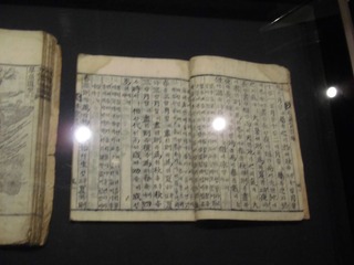 CIMG0494.JPG