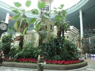 CIMG0609.JPG