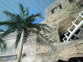 CIMG0666.JPG