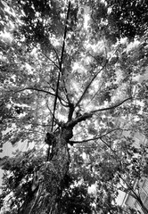 2A3A6549-59CA-4F61-9FBC-EF358CA720A1/L0/001