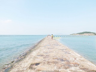 IMG_1148.jpg