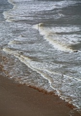 1000117647