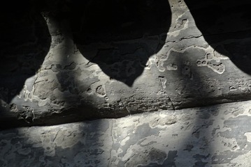 1000134808