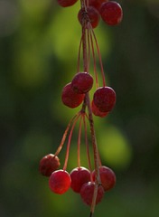 1185671