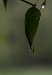1088087