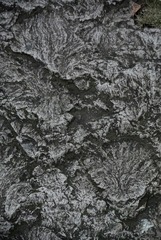 1000152801