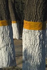 1175832