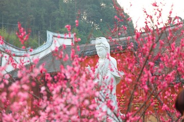 IMG_3547899.JPG