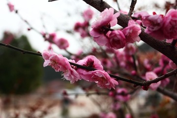 _MG_0961899.JPG