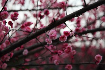 IMG_3656899.JPG