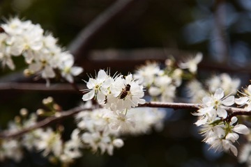 IMG_3707899.JPG