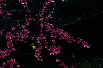 IMG_3887899.JPG