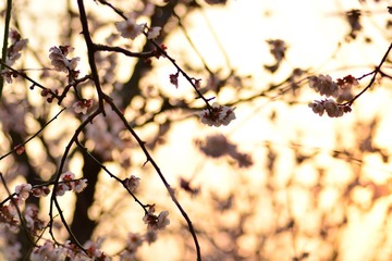 DSC_0171.JPG