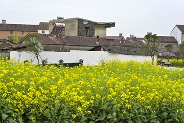 58425