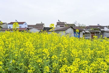 58428