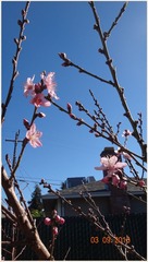 DSC00383_副本.jpg