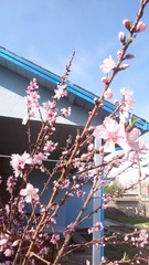 DSC00392.JPG