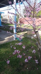 DSC00393.JPG
