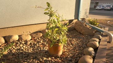 DSC00704.JPG