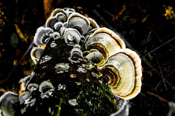 20150222-L1070438
