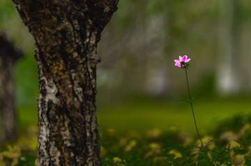 20130220-20130220-_BNP1953.jpg