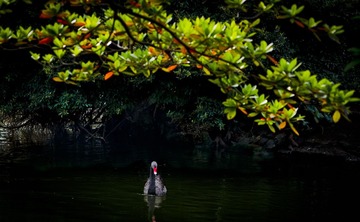 20120116-_BNP5626.jpg