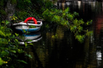 20120116-_BNP5696.jpg