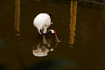 20120119-20120119-_BNP5801.jpg