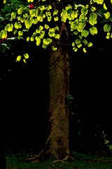 20111227-_BNP4377-2.jpg