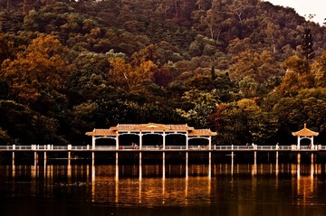 20111212-_BNP3778-1.jpg